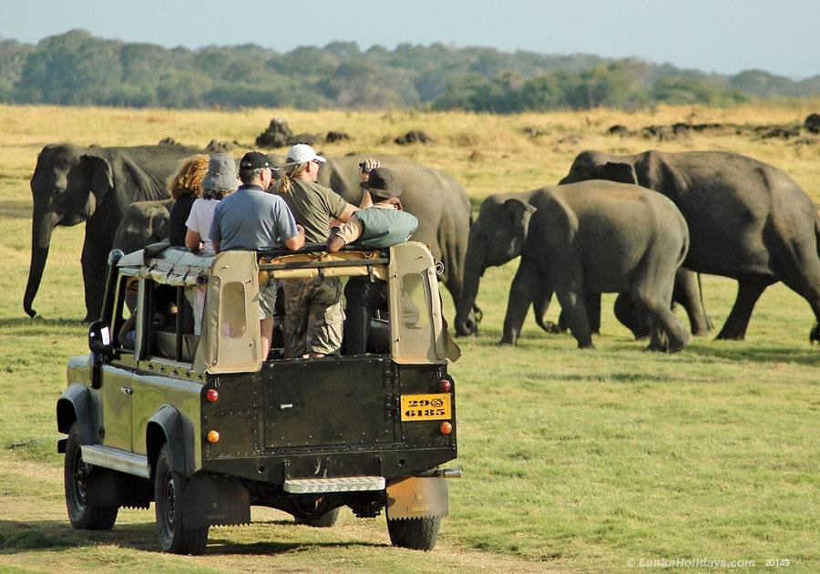 Yala National Park
